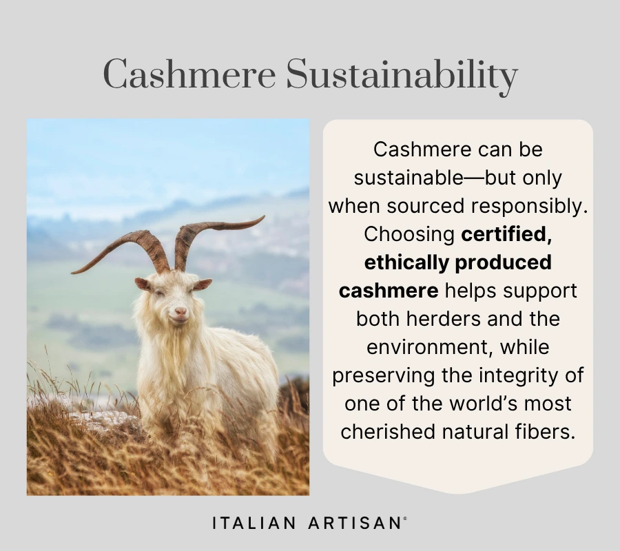 cashmere sustainability, ethics