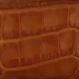 Close-up of tan croc-pattern leather