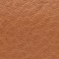 Close-up of pebbled tan calf leather